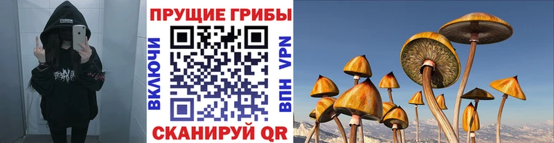 Псилоцибиновые грибы MAGIC MUSHROOMS  закладка  Белинский 